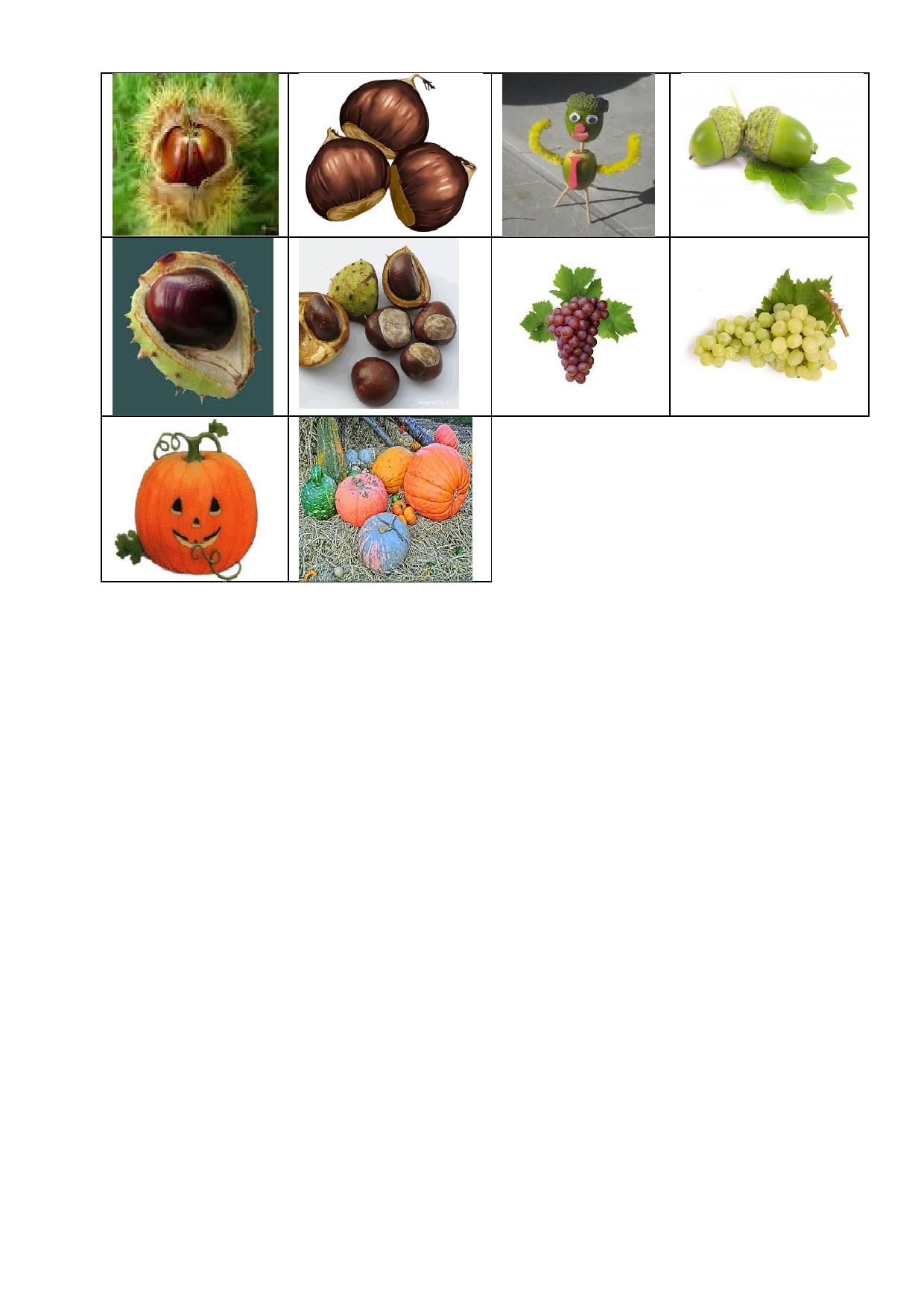 producteur de fruits d automne 7 lettres